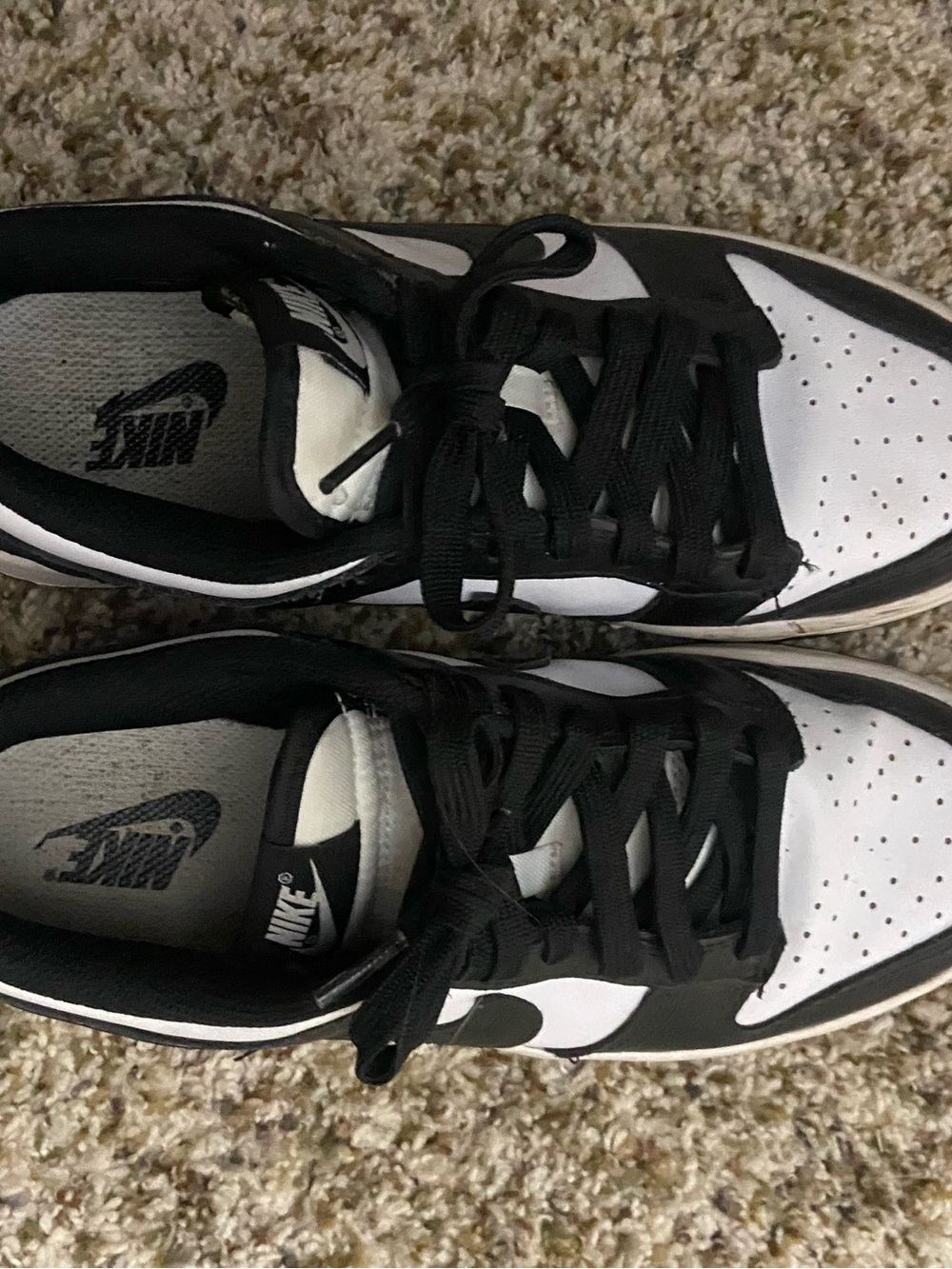 Panda dunks - Picture 2 of 3